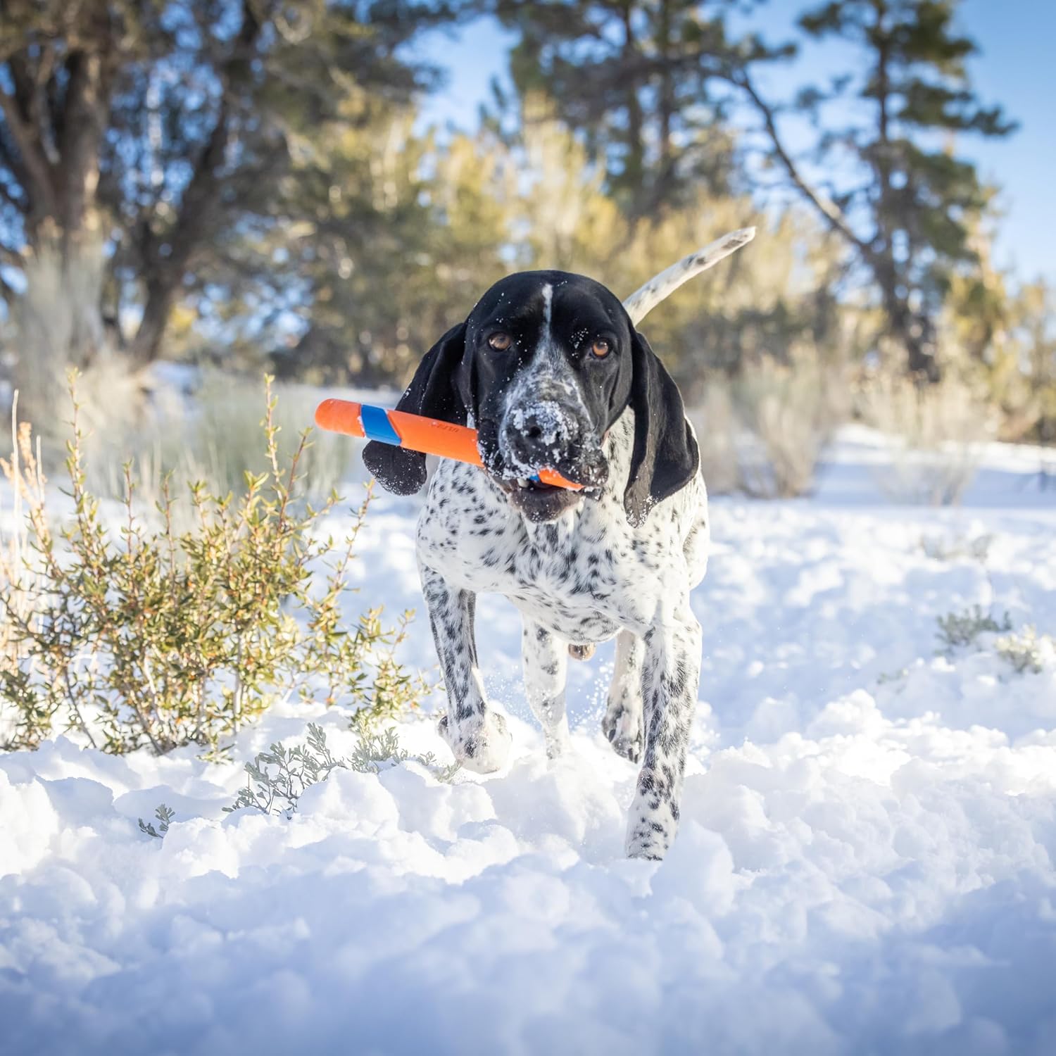 CHUCKIT ULTRA FETCH STICK