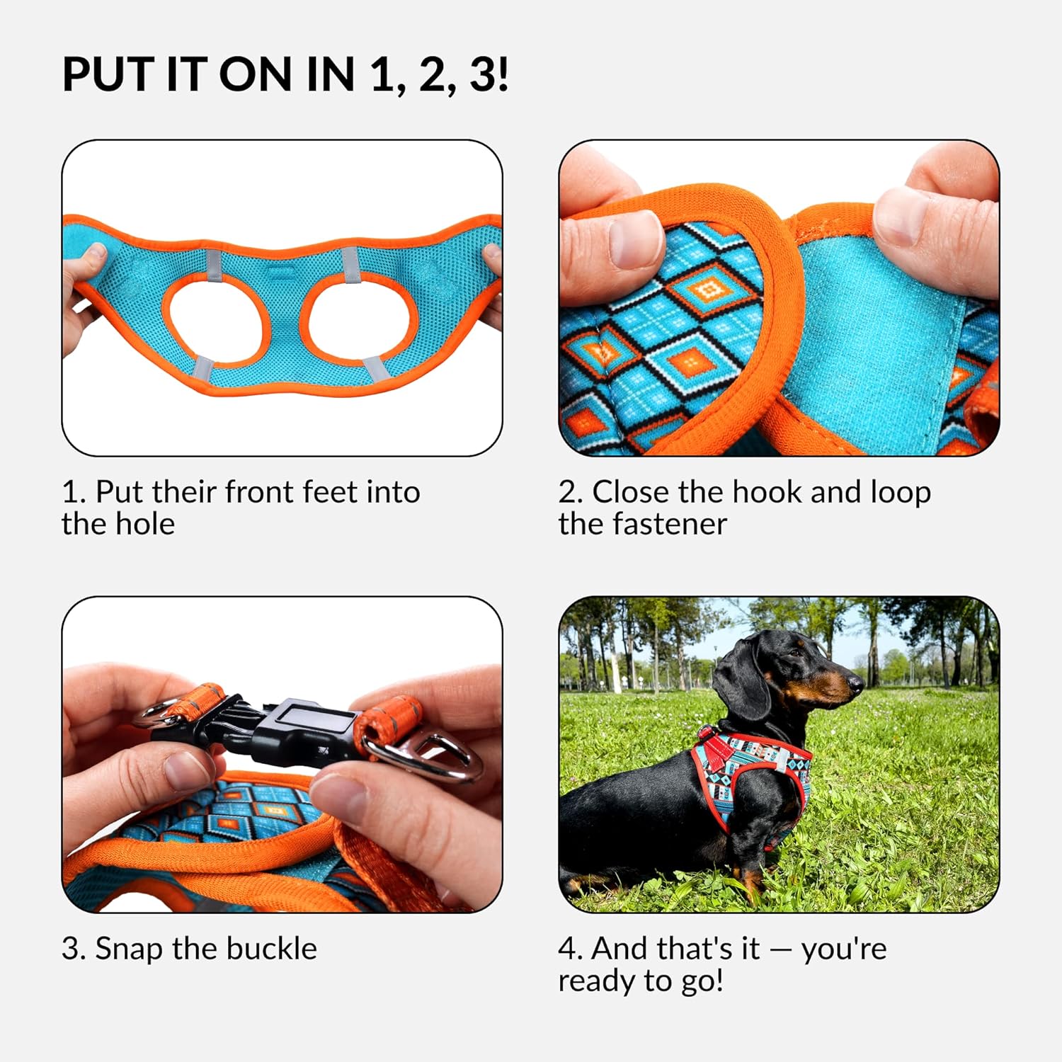 DOB PRINTED STEP  IN HARNESS S