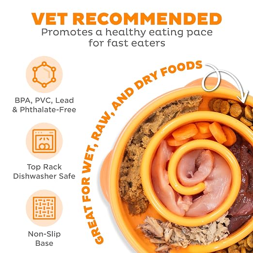OUTWARD HOUND FUN FEEDER MINI SLOW FEED BOWL ORANGE