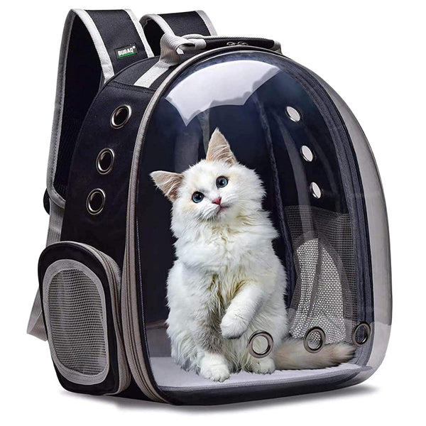 CARNIVAL CAT BAG AND FEATHER