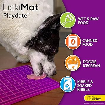 LICKIMAT PLAYDATE PURPLE