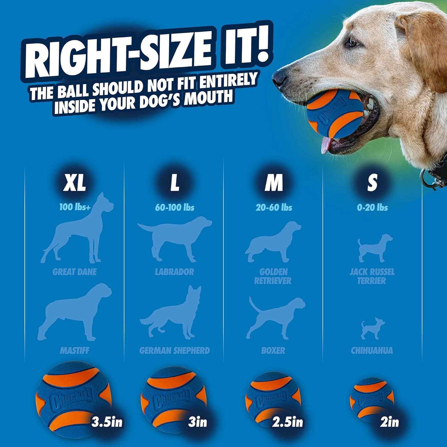 CHUCKIT ULTRA SQUEAKER BALL S