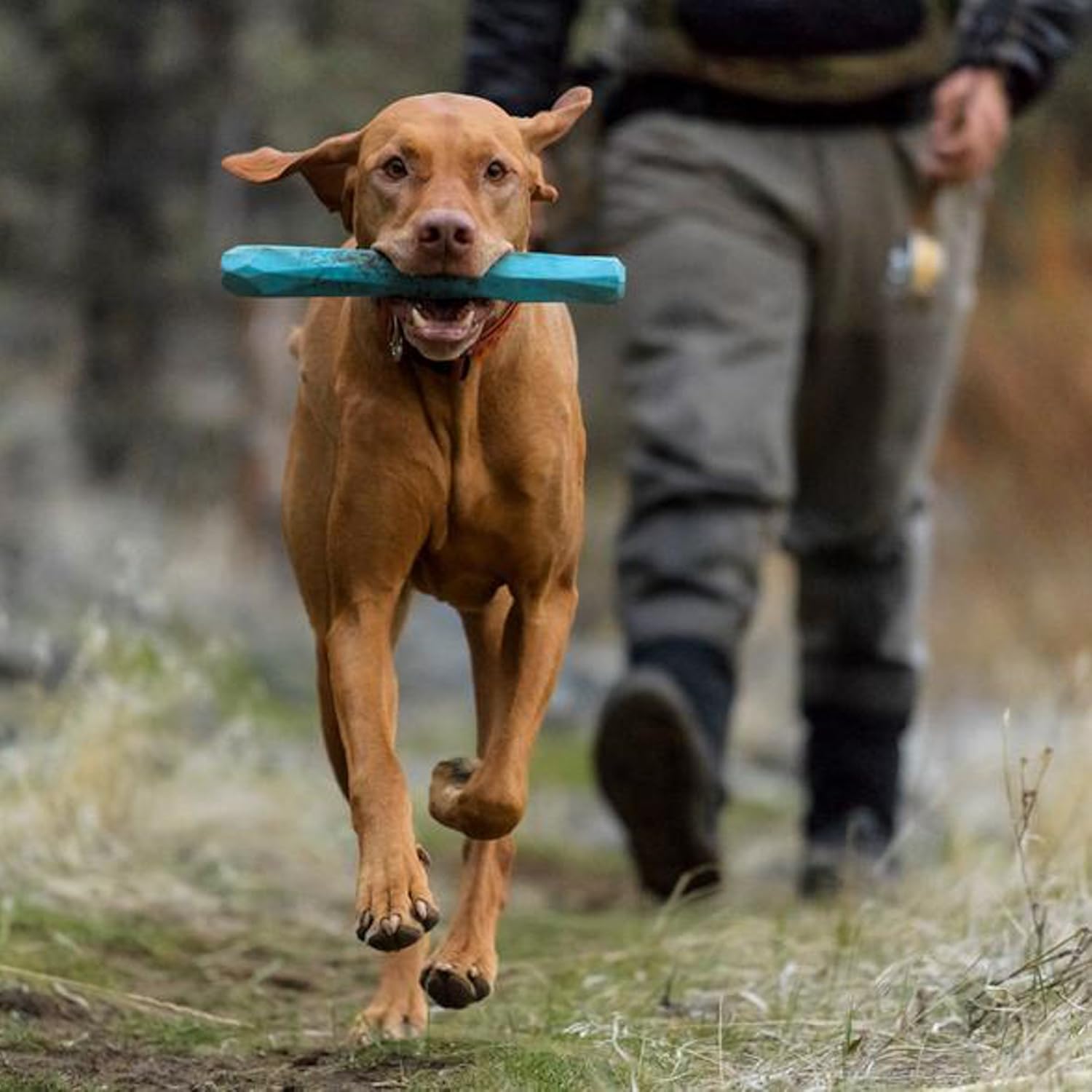 RUFFWEAR GNAWT A CONE SOCKEYE RED STANDARD
