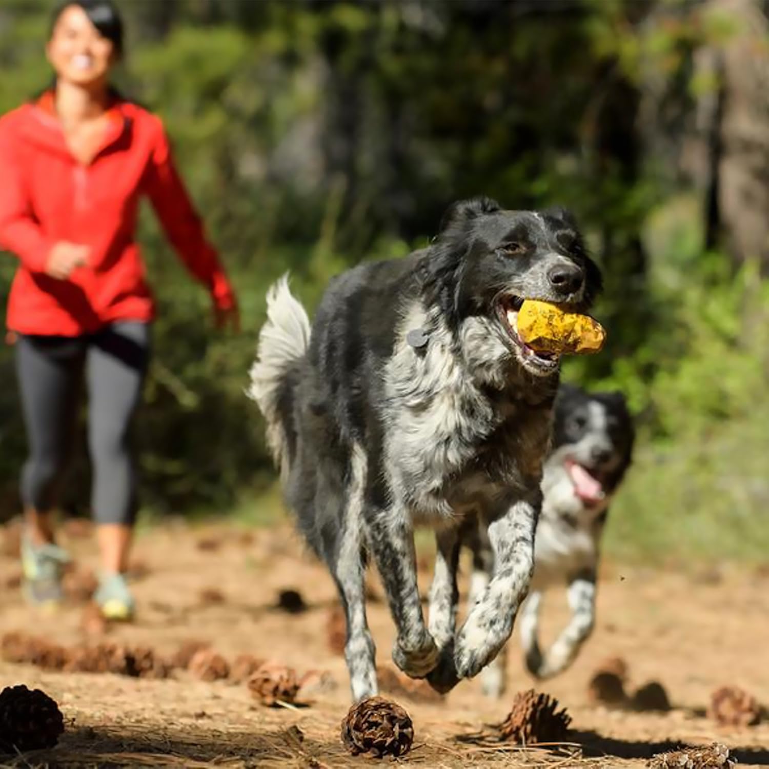 RUFFWEAR GNAWT A CONE METOLIUS BLUE STANDARD