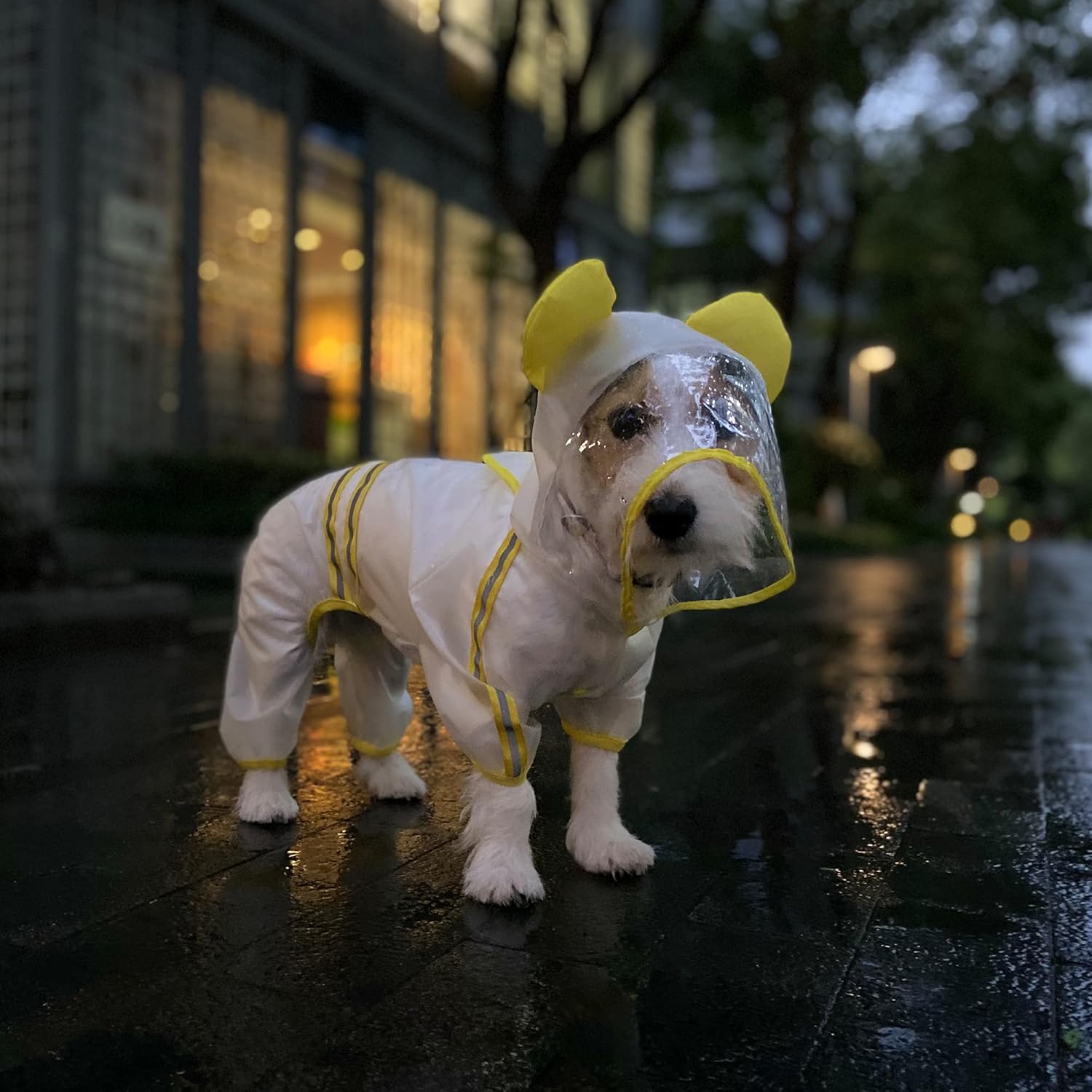 BARKBUTLER FOFOS PET RAINCOAT M 32CM