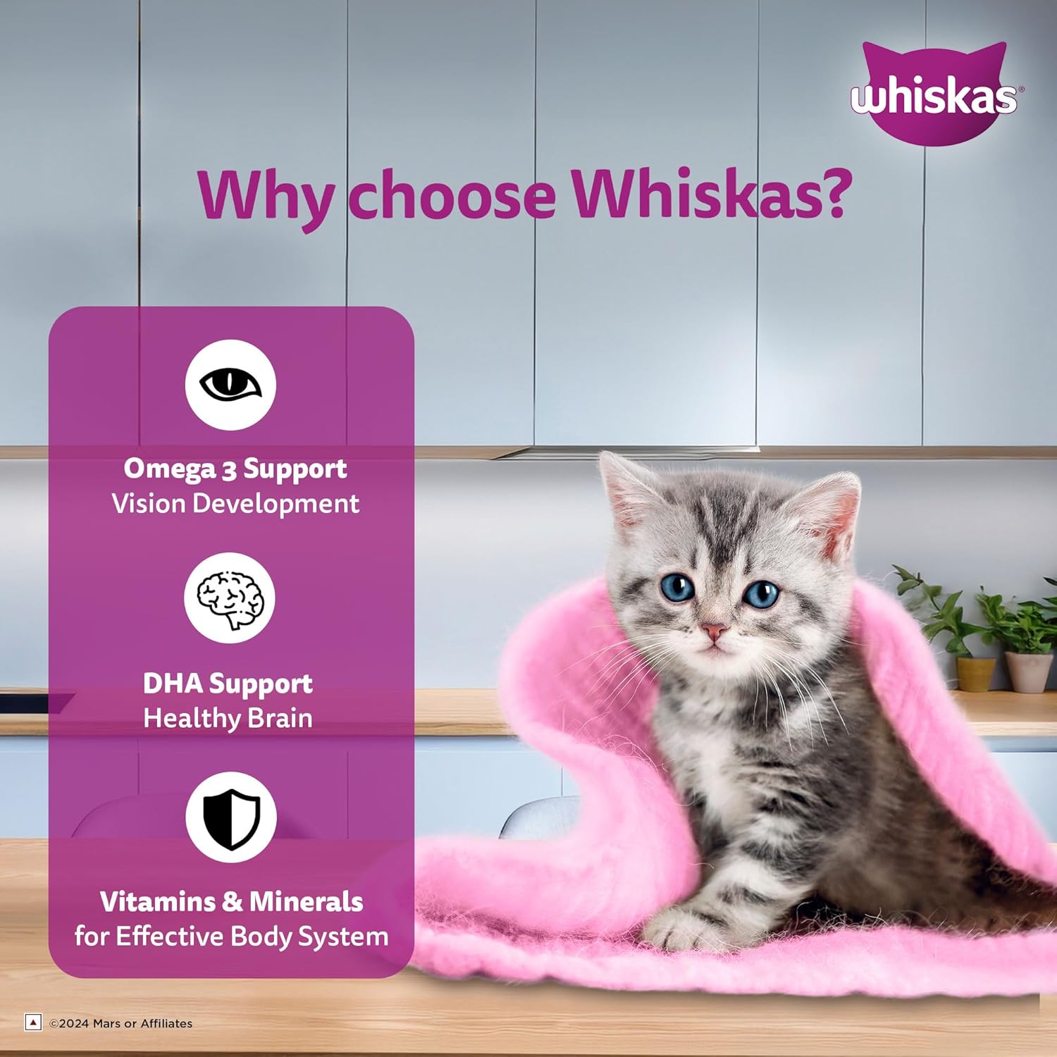 WHISKAS JUNIOR MACKEREL GRAVY 80G