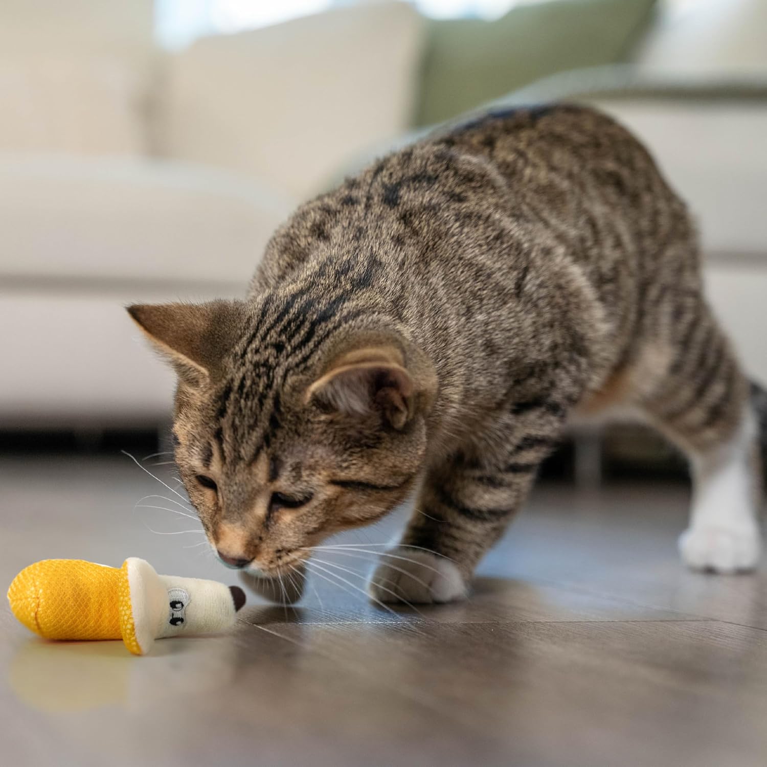 DENTAL BANANA TOY
