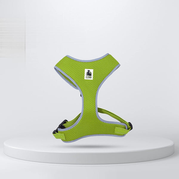 EZRA HART LEASH XXL GREEN