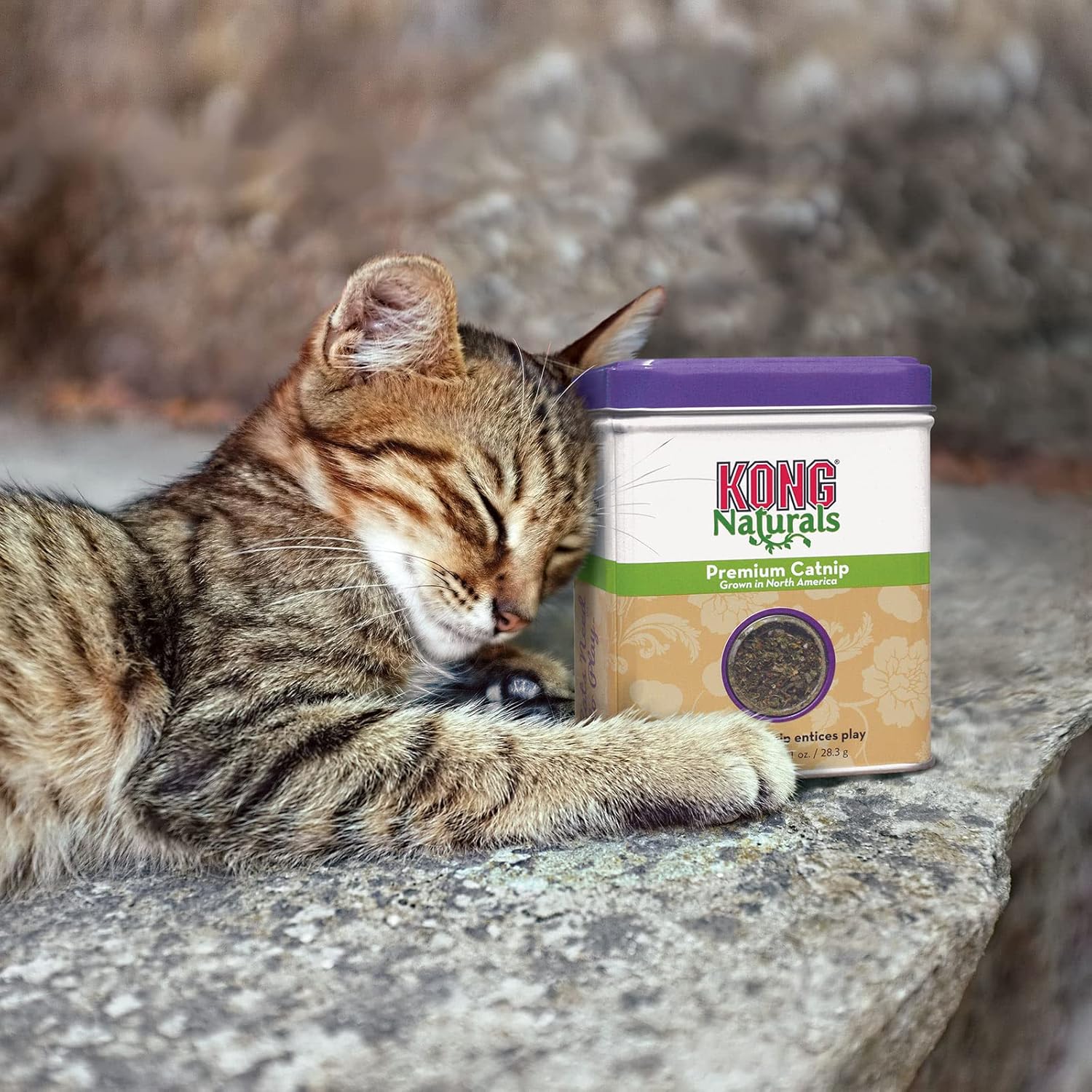 CN21 NATURALS CATNIP 1 OZ