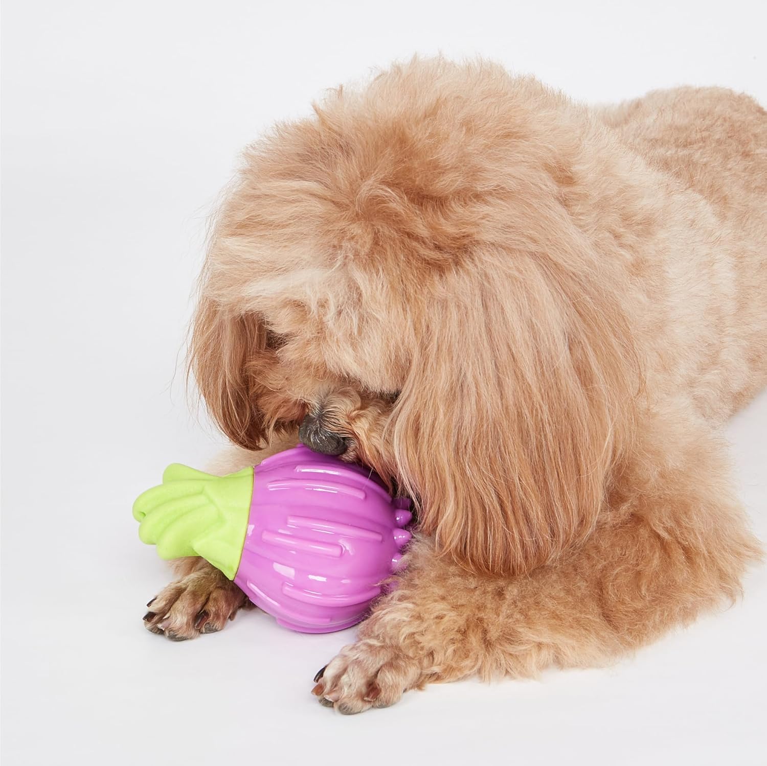 FOFOS GIGGLING VEGI BITES DOG TOY ONION