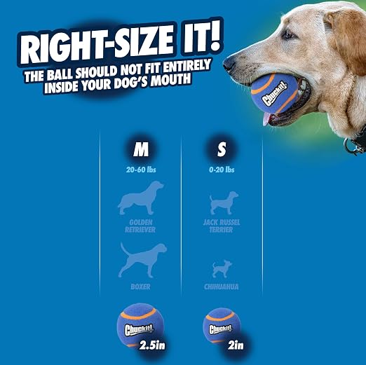 CHUCKIT TENNIS BALL 2PK SMALL