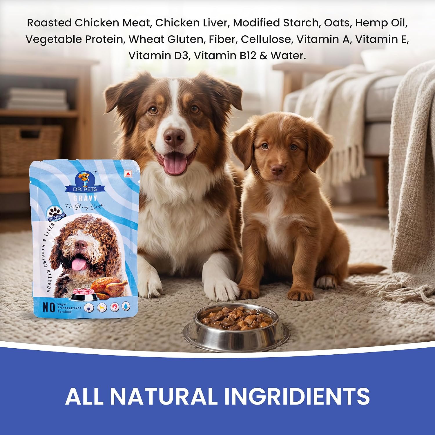DR PET GRAVY ROSTED CHICKEN LIVER 85G