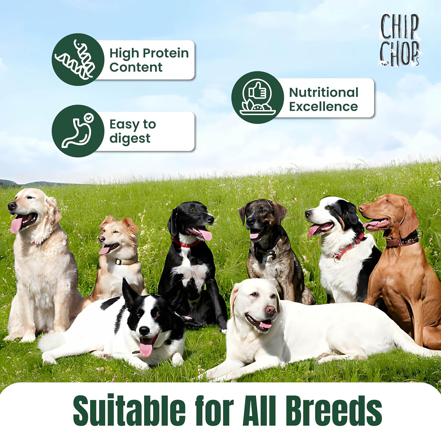 CHIP CHOPS CHICKEN DONUT 80G
