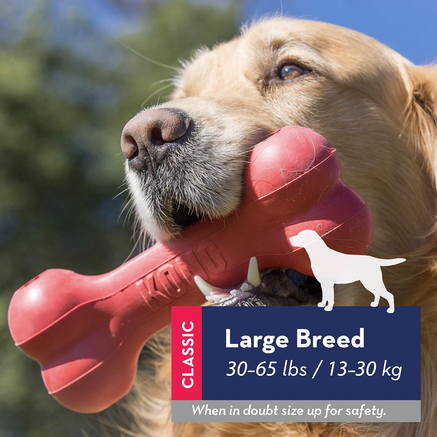 GOODIE BONE LARGE TOY