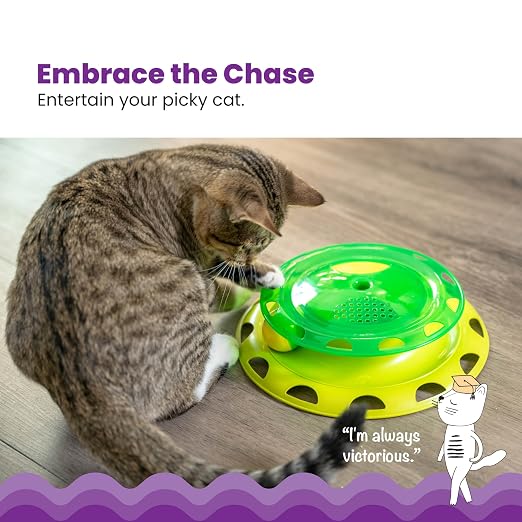 PETSTAGES CATNIP CHASER INDEPENDENT CAT PLAY TOY