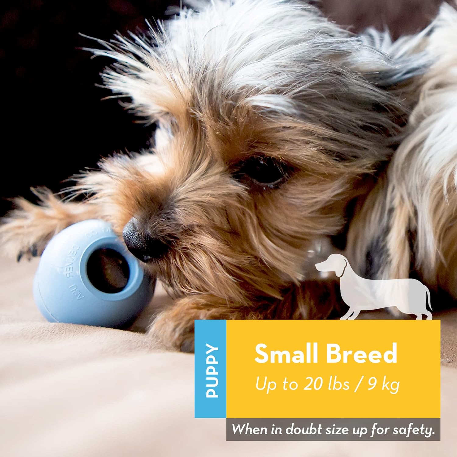 KONG PUPPY SMALL TOY