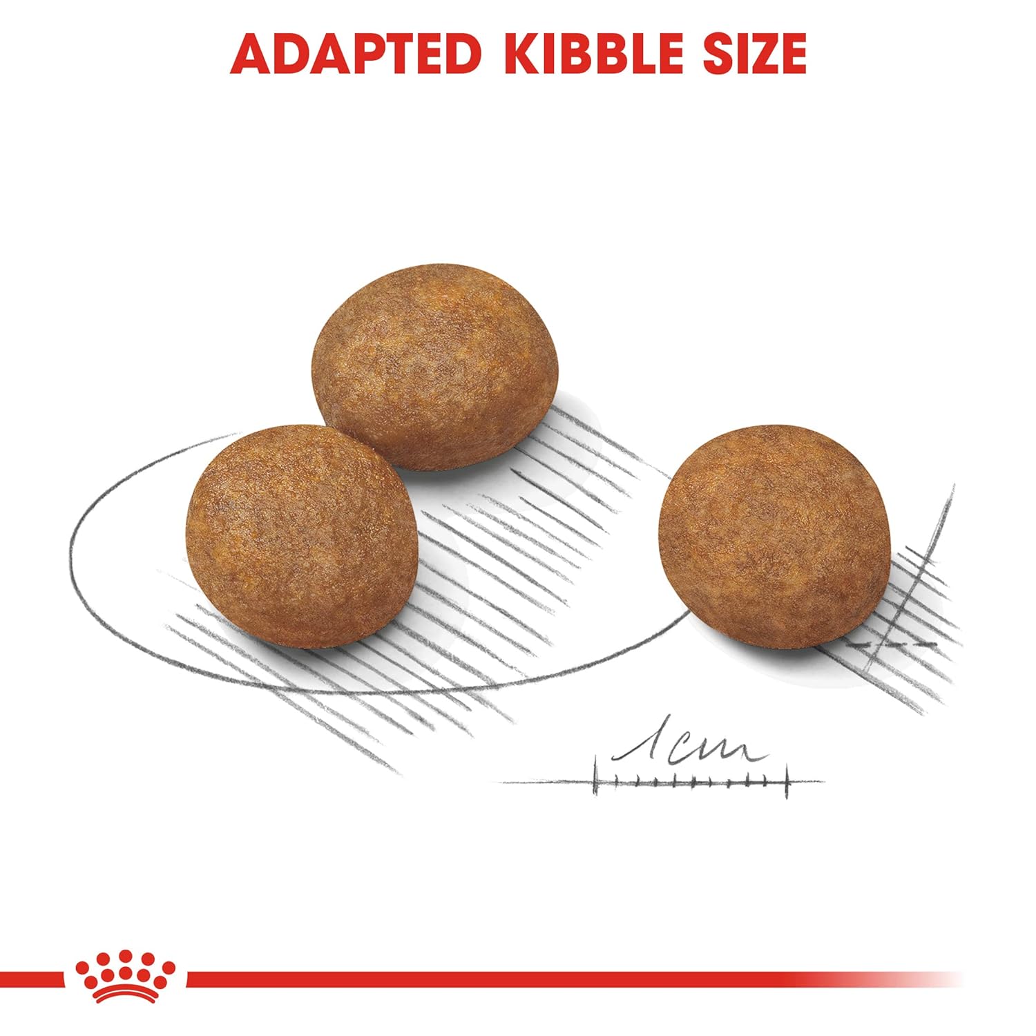 ROYAL CANIN MAXI STARTER 1KG