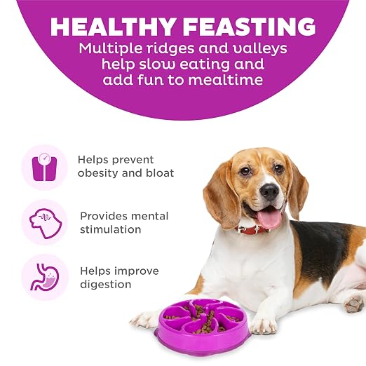 OUTWARD HOUND FUN FEEDER MINI SLOW FEED BOWL PURPLE