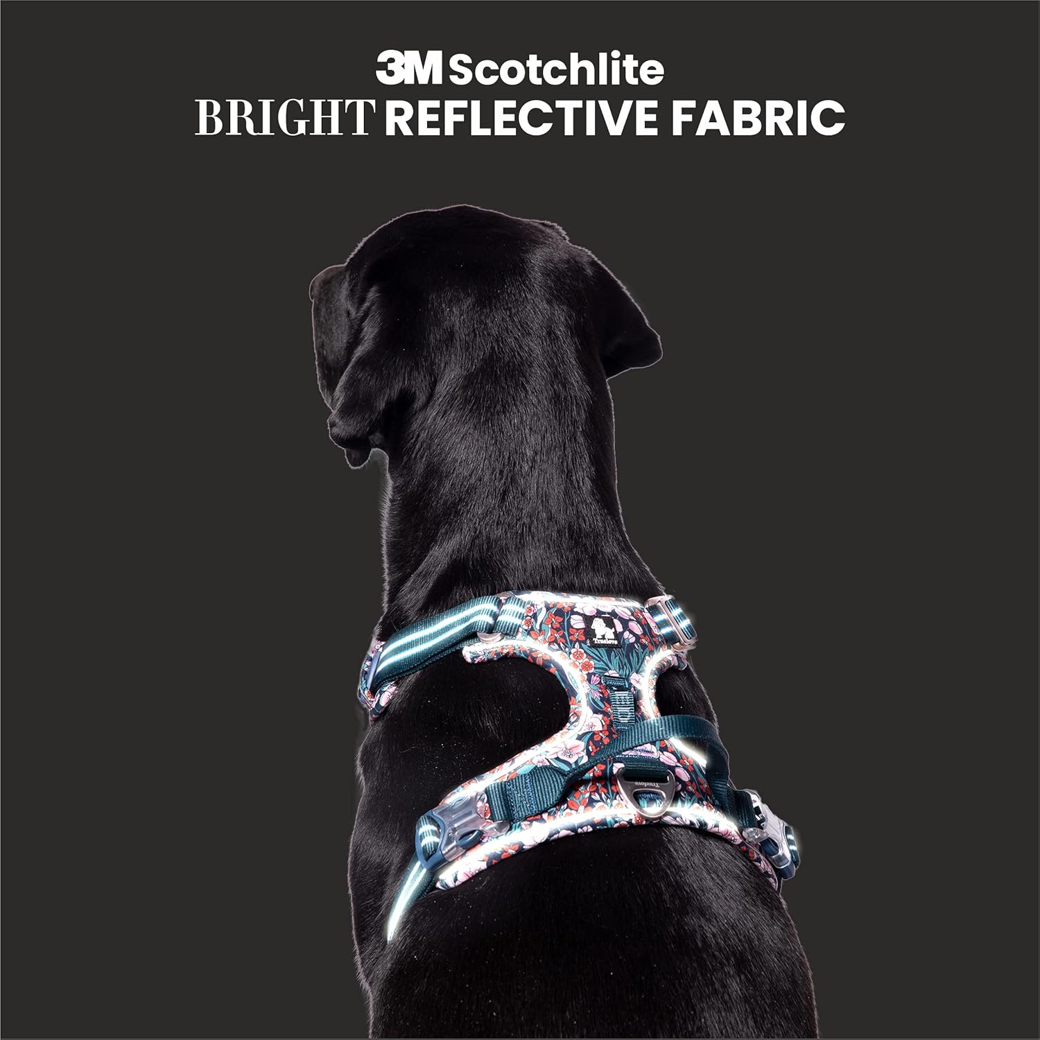 TRUELOVE FLORAL NO PULL PET HARNESS M NAVY BLAZER