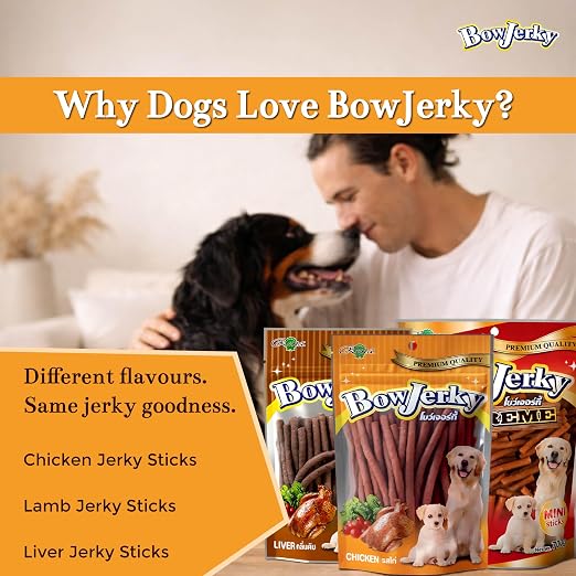RENA BOW JERKY CHICKEN 200GM