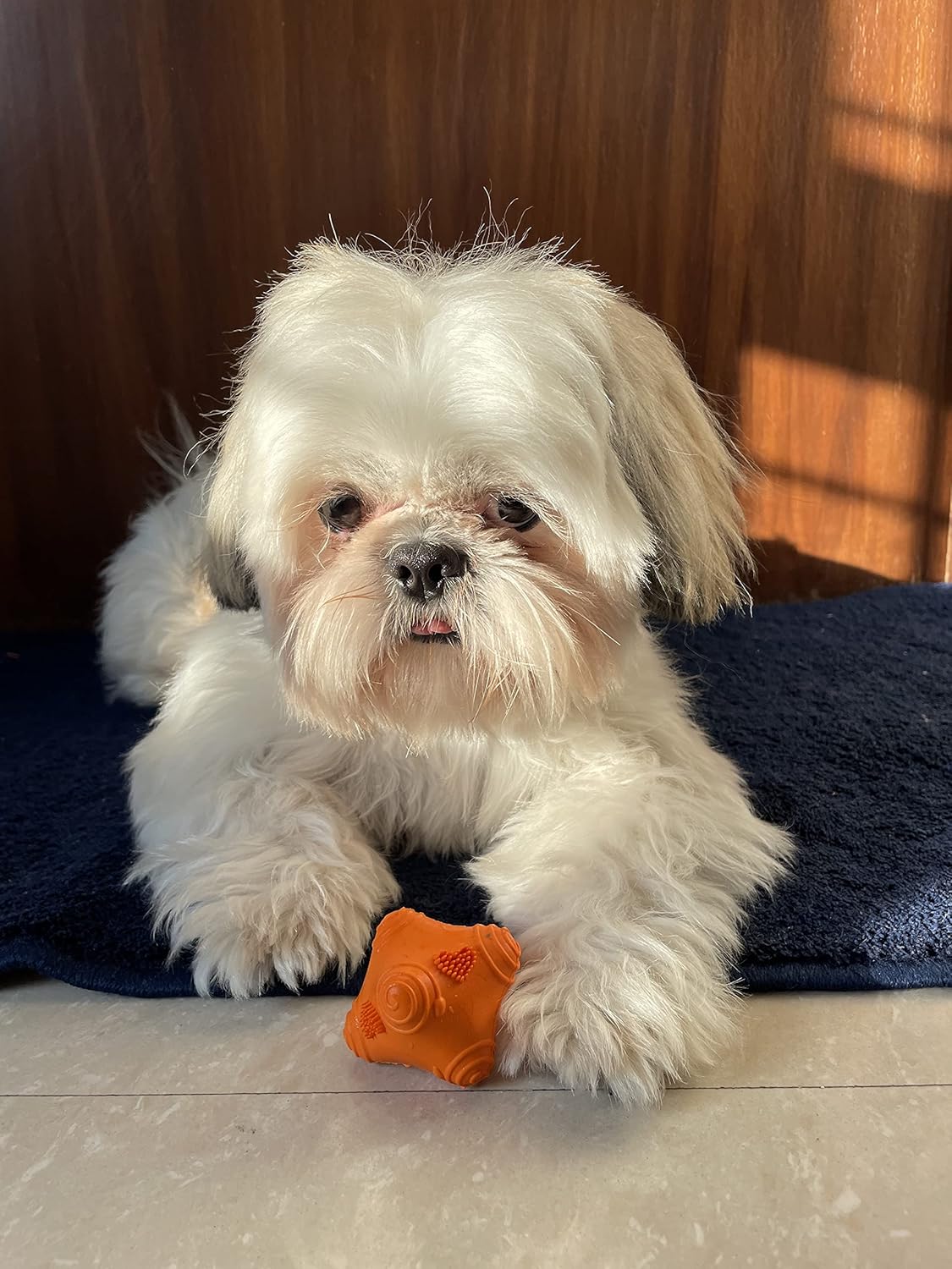 BARKBUTLER JUST A SNITCH ORANGE