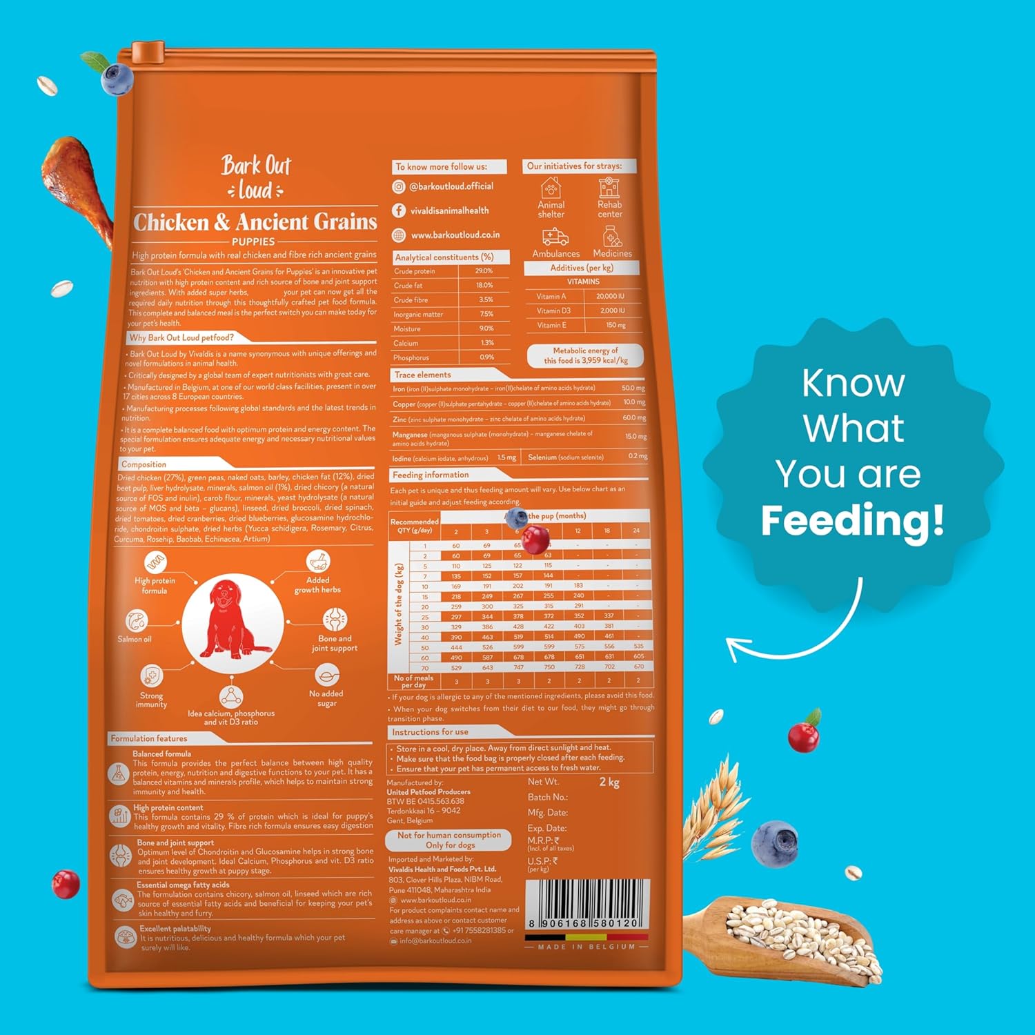 BOL PUPPY CHICKEN AND ANCIENT GRAINS 2KG