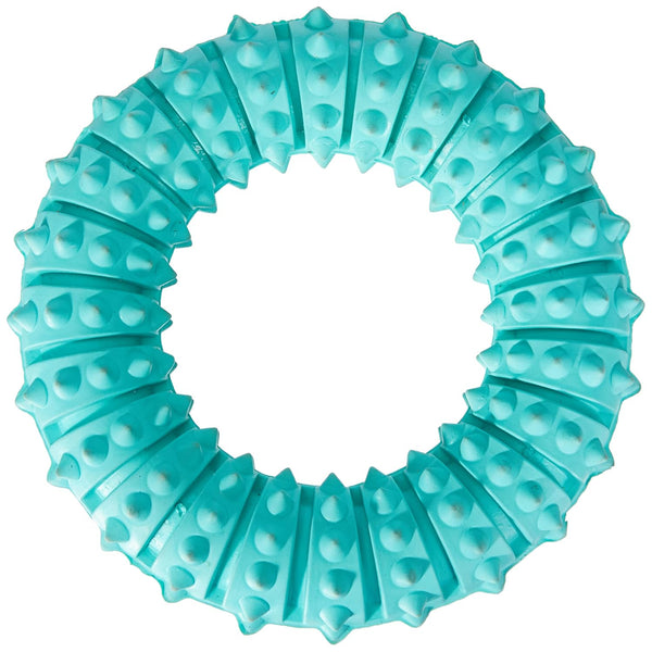 DENTA FUN RING MINT FLAVOUR NATURAL RUBBER 12CM