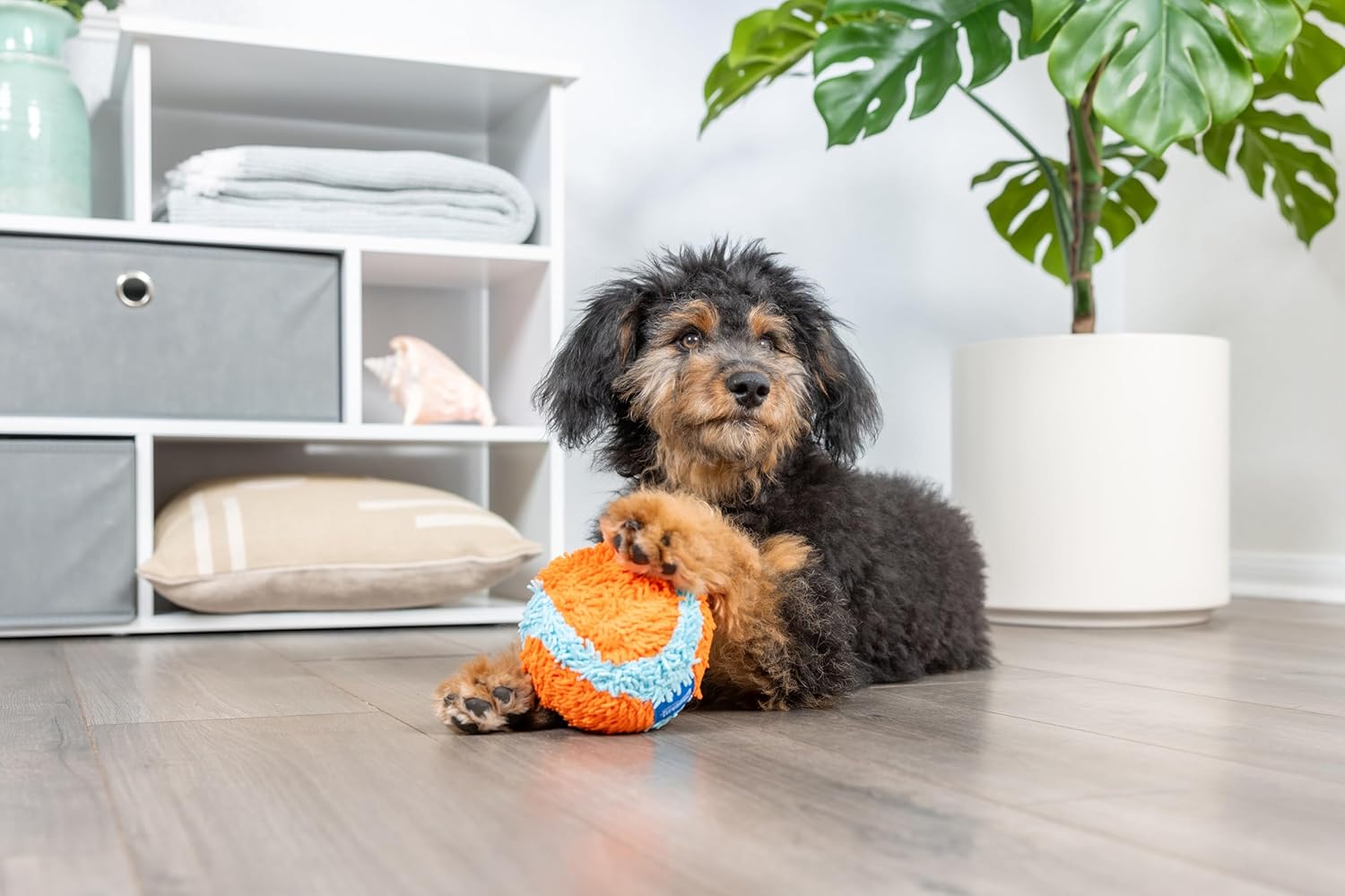CHUCKIT INDOOR BALL