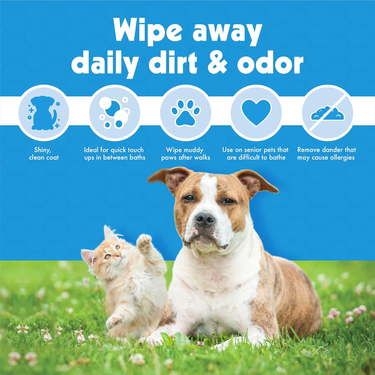 BIG N THICK PETWIPES 100 WIPES