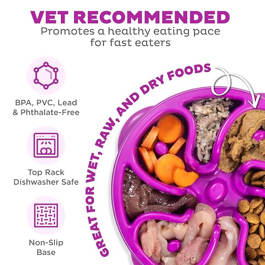 OUTWARD HOUND FUN FEEDER MINI SLOW FEED BOWL PURPLE