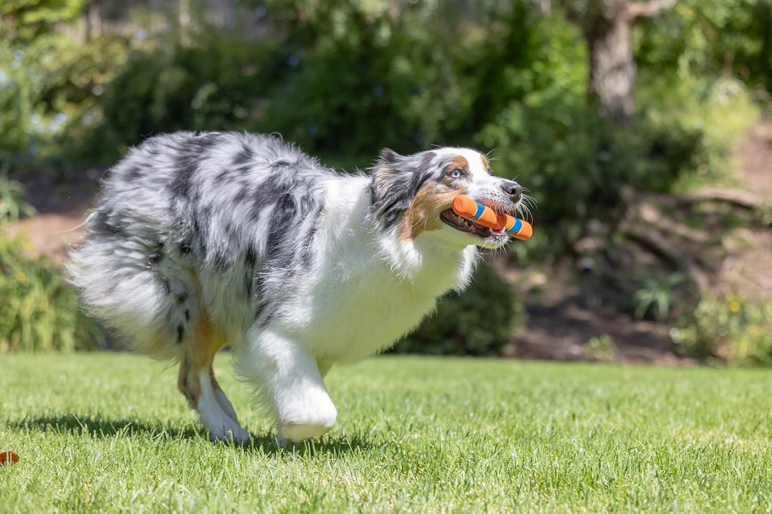 CHUCKIT ULTRA FETCH STICK