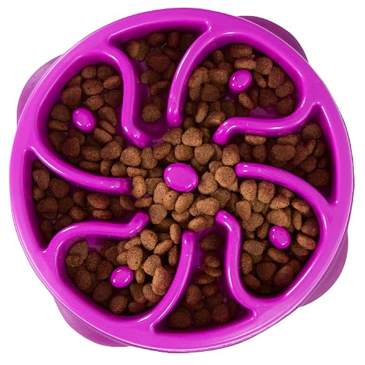 OUTWARD HOUND FUN FEEDER MINI SLOW FEED BOWL PURPLE