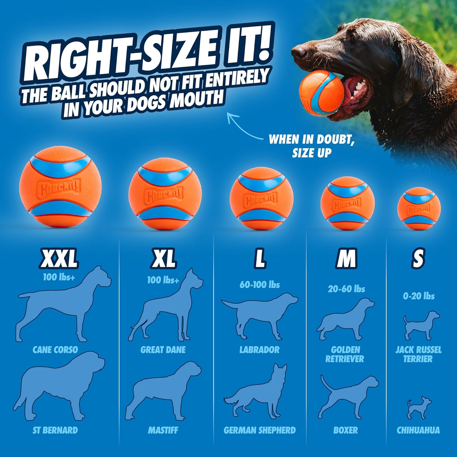 CHUCKIT ULTRA BALL 1PK LARGE