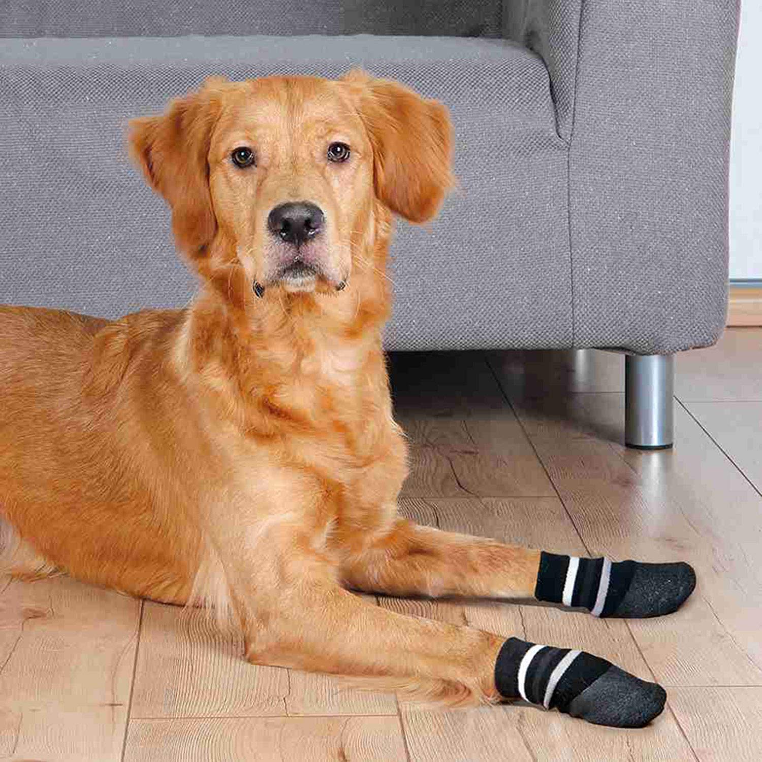 DOG SOCKS NON SLIP WITH ALL ROUND RUBBER COATING XS S 2 PCS BLACK
