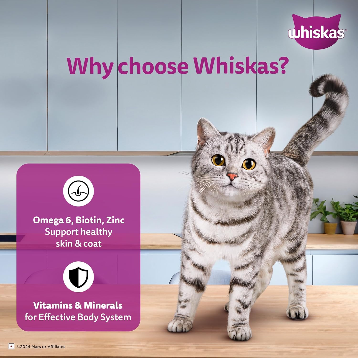 WHISKAS ADULT TUNA WHITE FISH GRAVY 80G