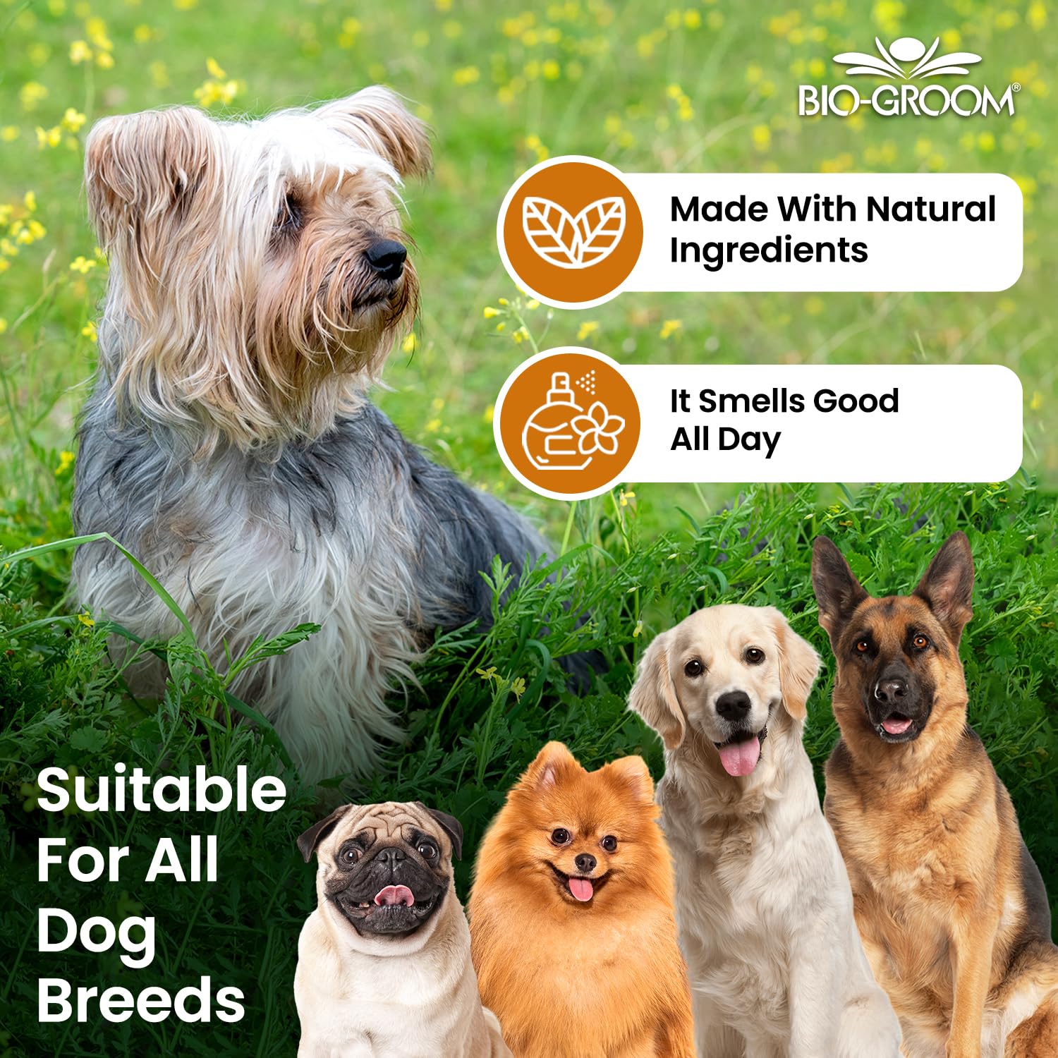 COAT POLISH SPRAY ON GLOSSER 473 ML