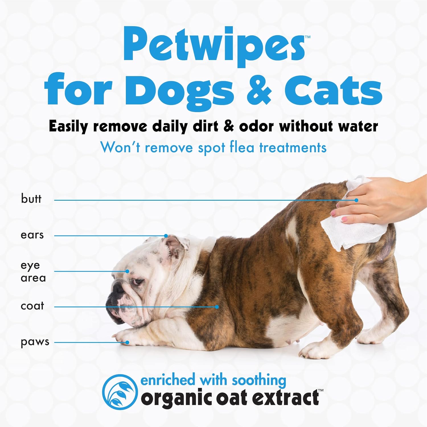 BIG N THICK PETWIPES 100 WIPES