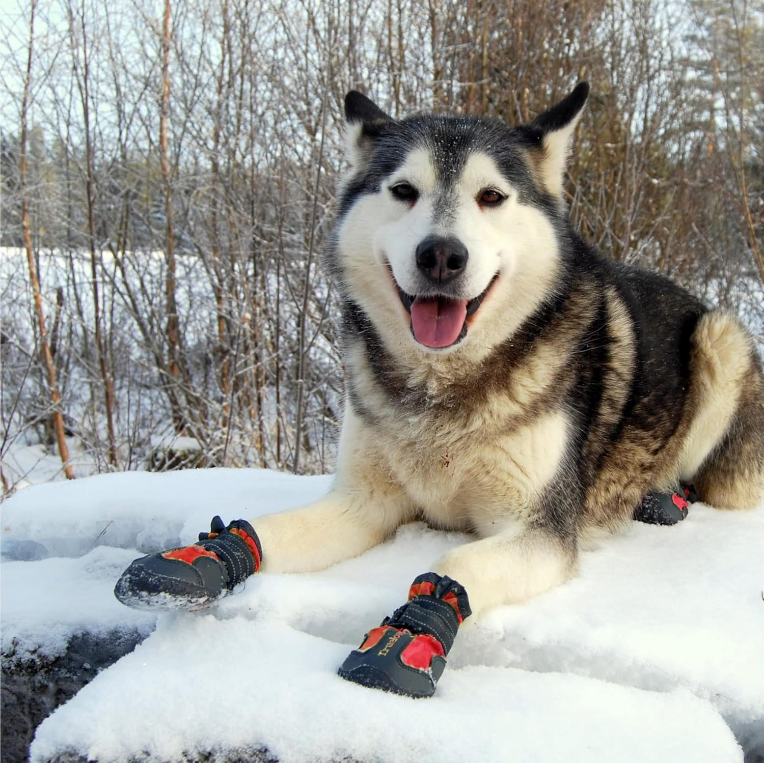 TRUELOVE PET BOOTS SIZE 4 RED