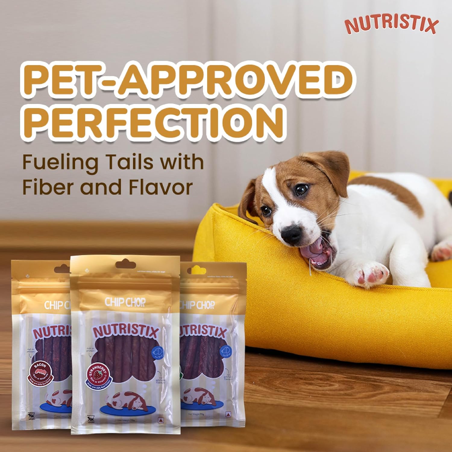 CHIP CHOPS NUTRISTIX BACON 70G