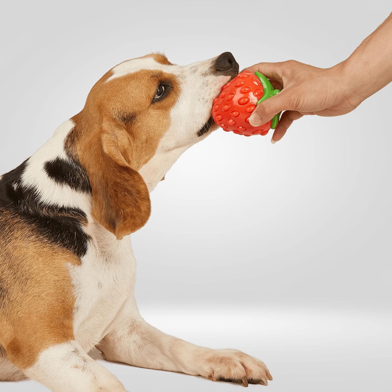 FOFOS FRUITY BITES SILENCE STRAWBERRY