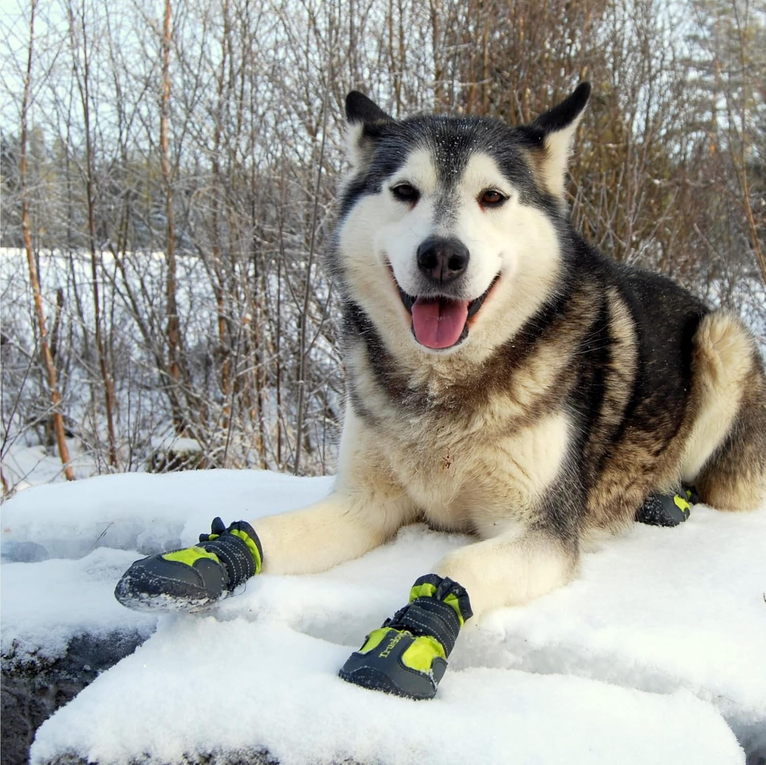 TRUELOVE PET BOOTS SIZE 7 NEON YELLOW