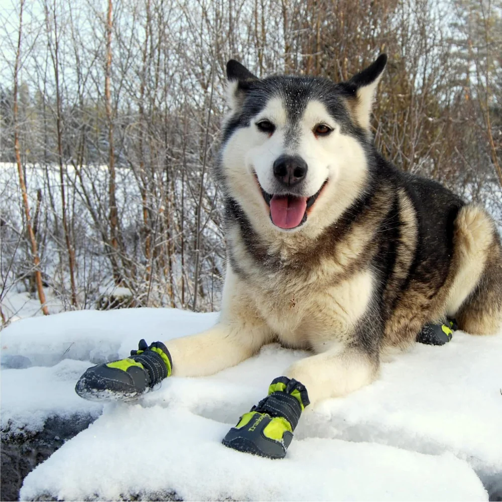 TRUELOVE PET BOOTS SIZE 4 NEON YELLOW