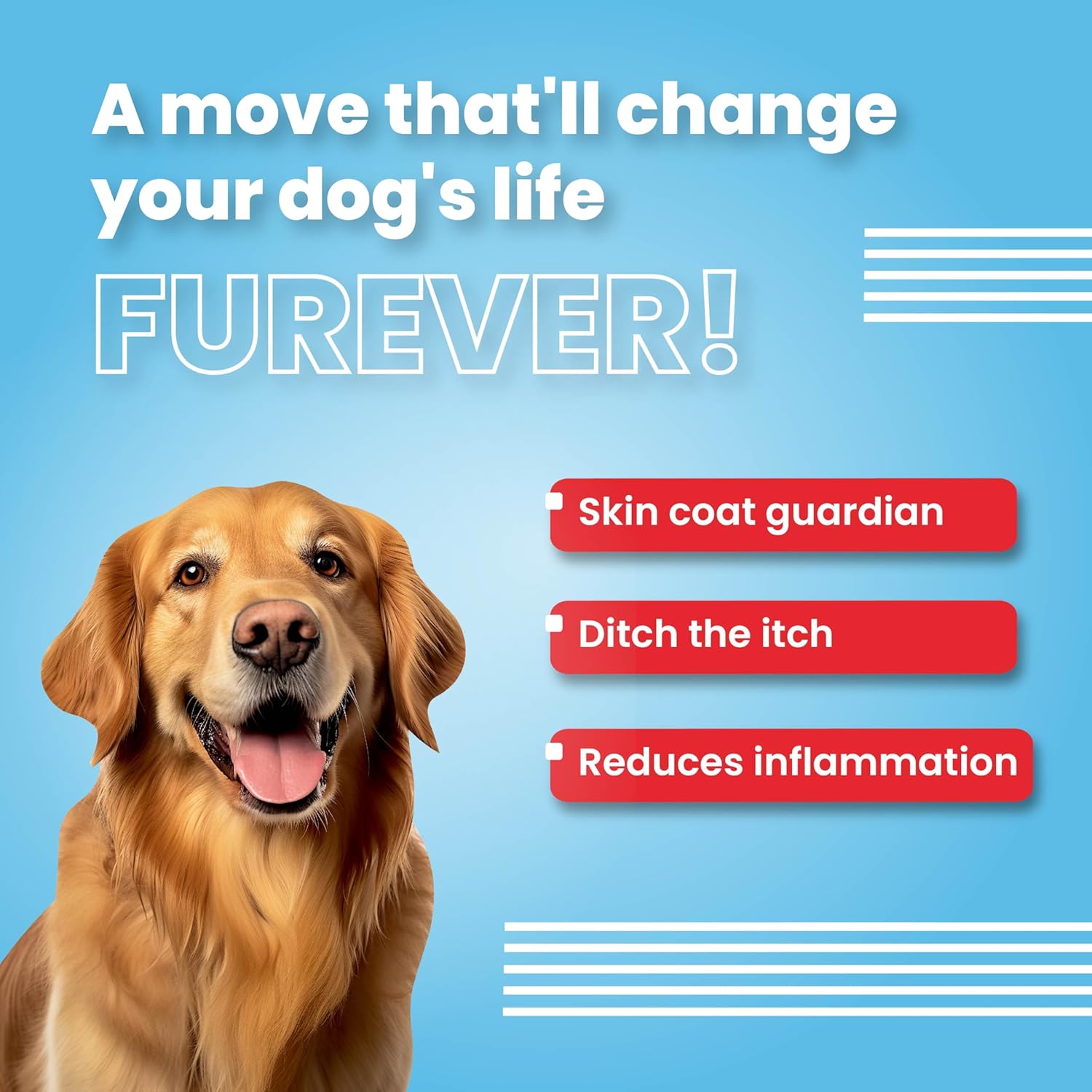 BOL SKIN AND COAT DOG PILLOWS 100GM