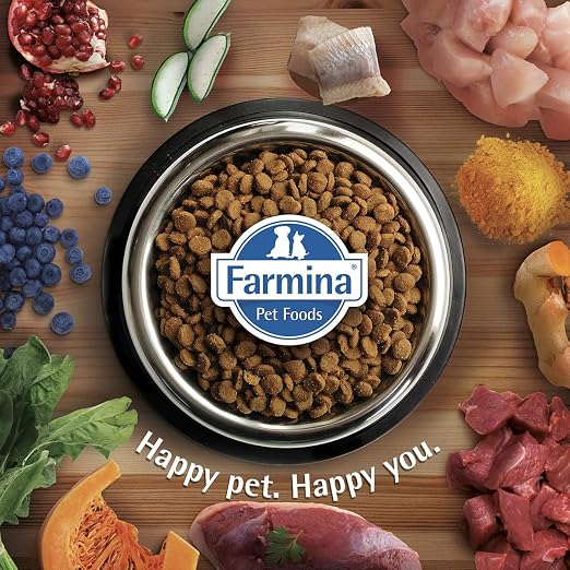 FARMINA N AND D PRIME CAT GF CP KITTEN 300 GM