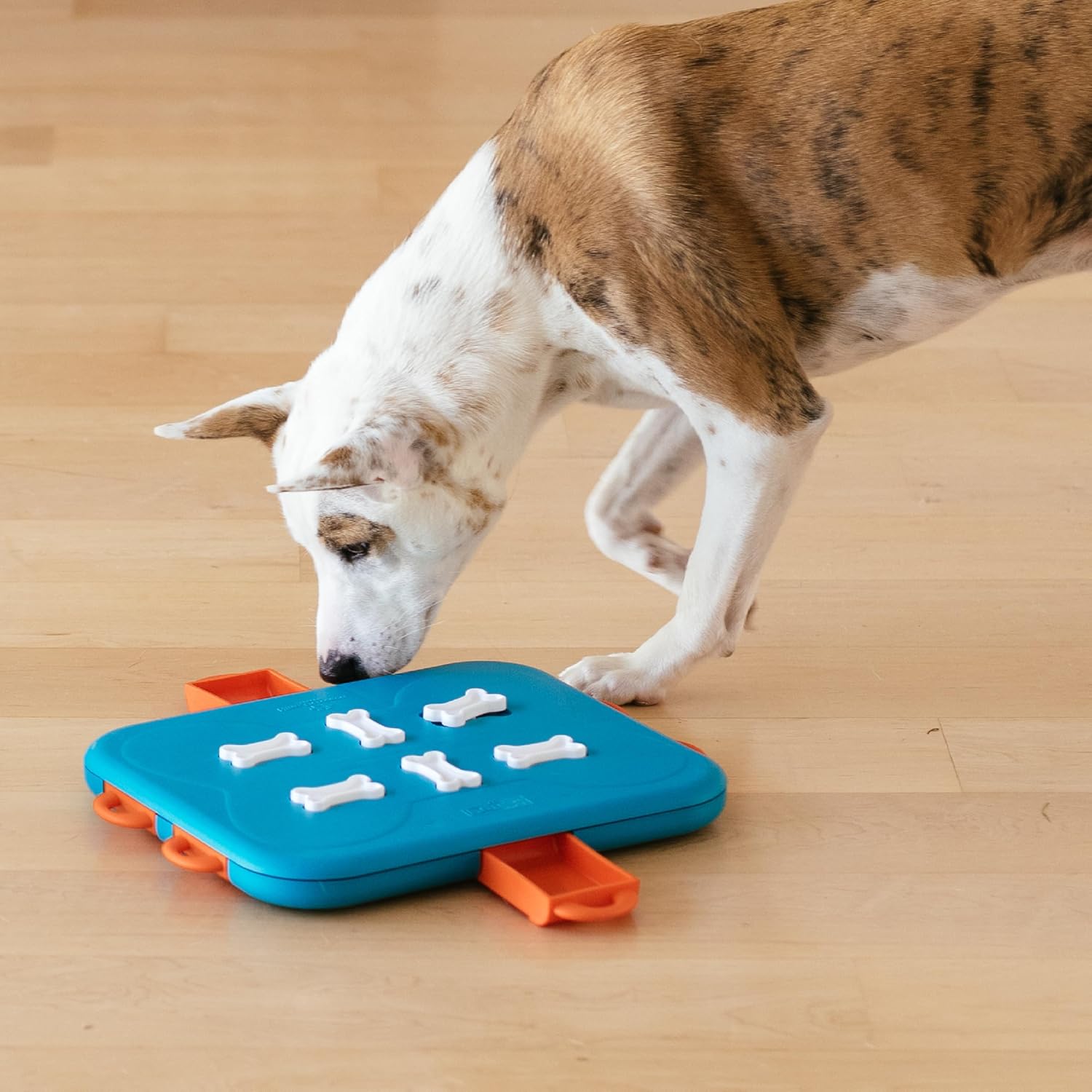 NINA OTTOSSON DOG CASINO GAME ONE SIZE  LARGE