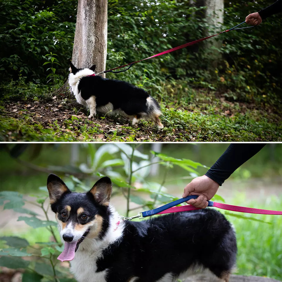 8272 GIGWI LEAD CLASSIC LINE L