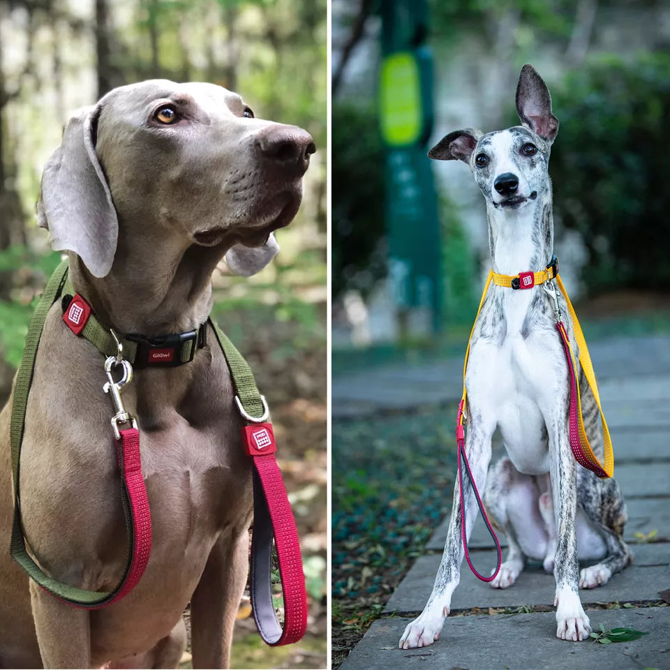 8272 GIGWI LEAD CLASSIC LINE L