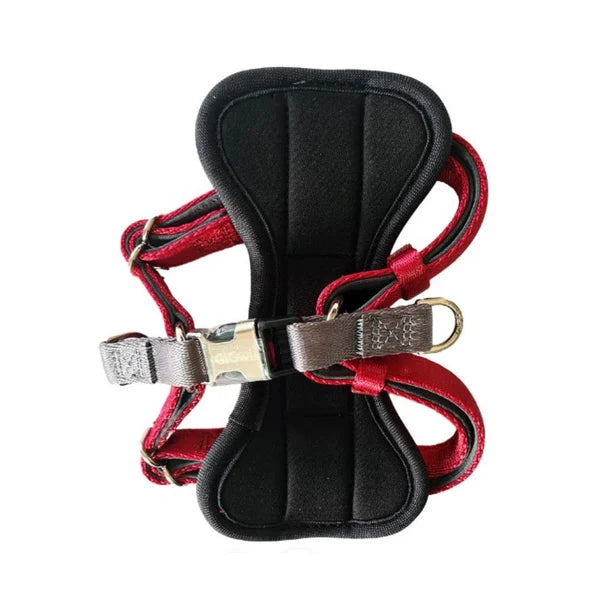 GIGWI COLLAR PREMIUM LINE M RED