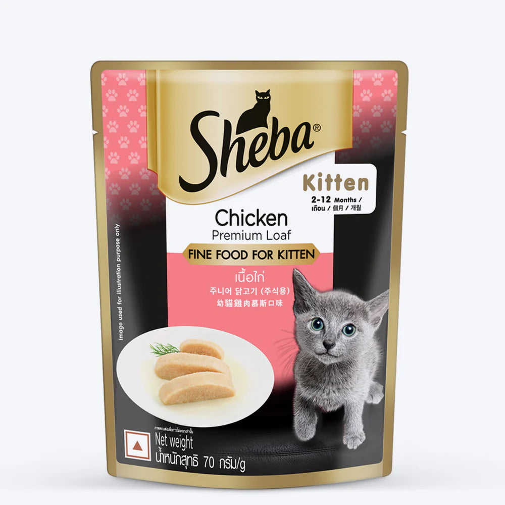 SHEBA KITTEN CHICKEN 70GM