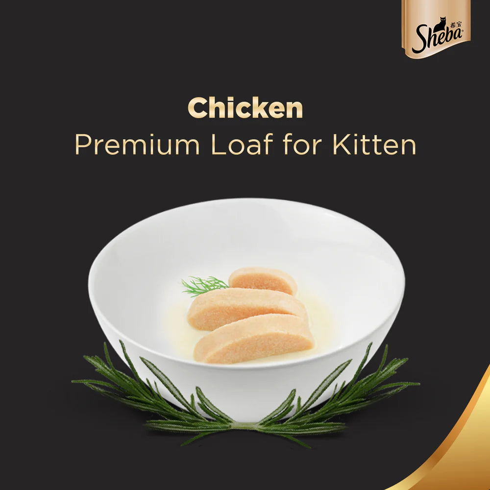 SHEBA KITTEN CHICKEN 70GM